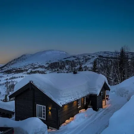 Hodlekvevegen 301, Ski Inn/ut *